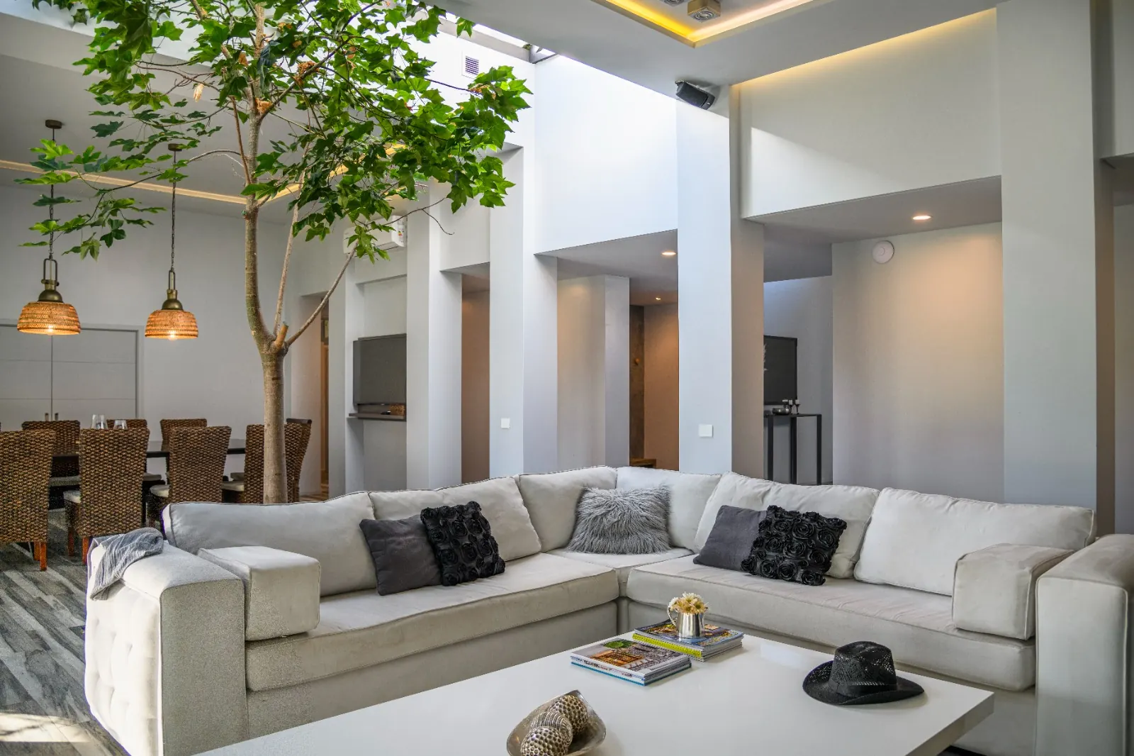 Living de Casa Nogal con un árbol bajo techo vidriado