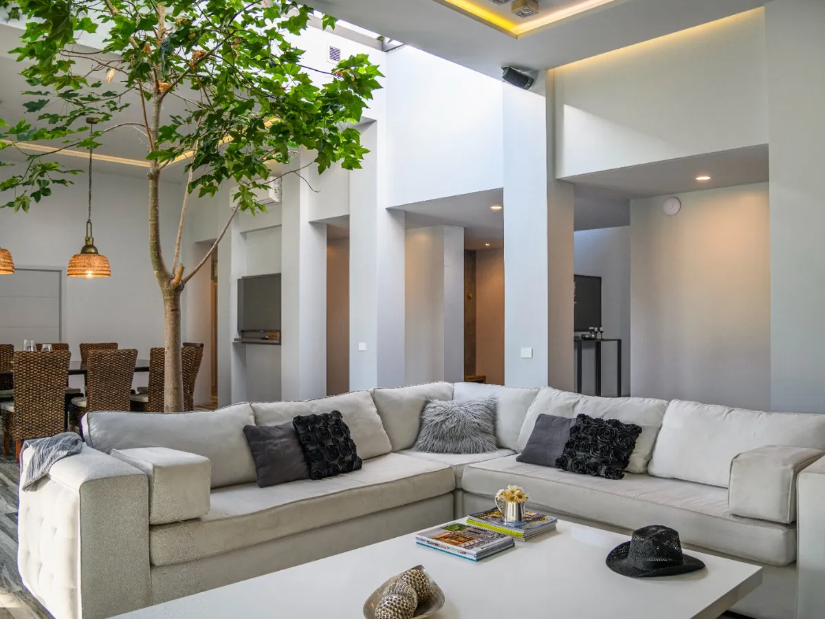 Casa Nogal: living bajo el árbol